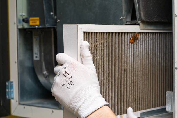 Best Ductwork Cleaning Services  in Golden Shores, AZ